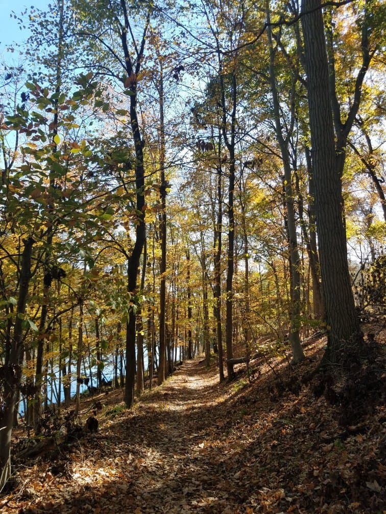 Washington Valley Park and Reservoir