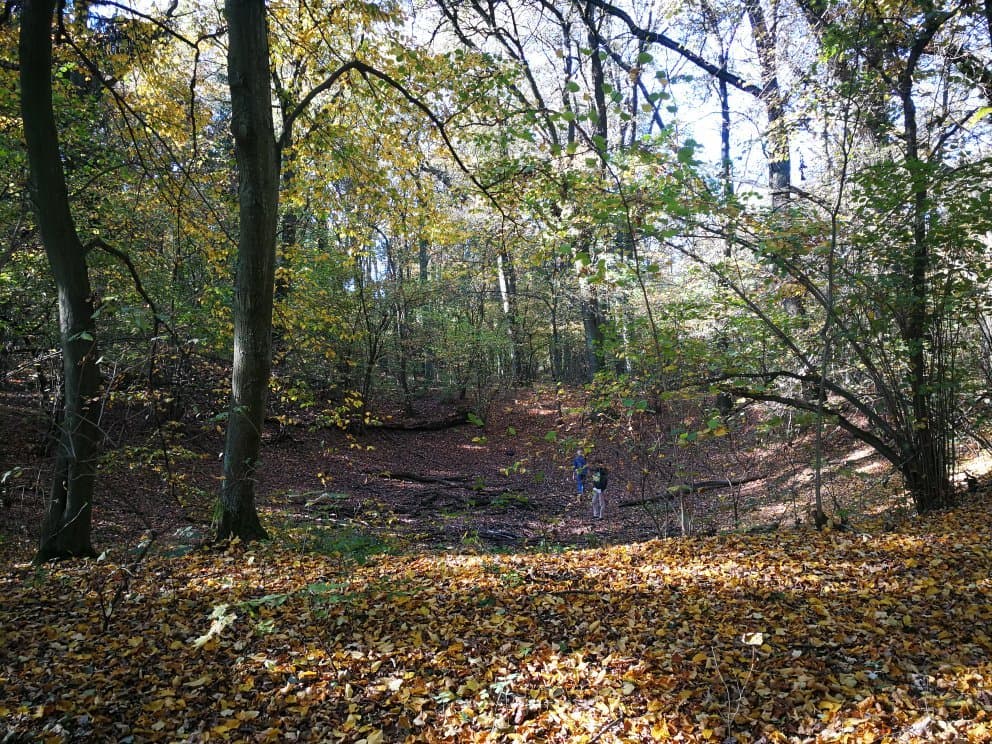 Morasko Meteorite Reserve Poznań Poland