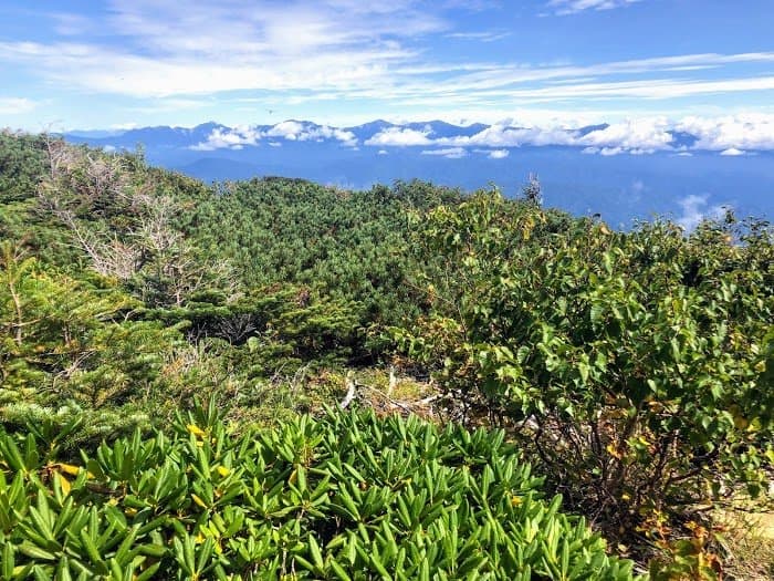 空木岳　⇒　標高差2,000mを初体験！そして絶景に酔いしれる（日本百名山35座目）