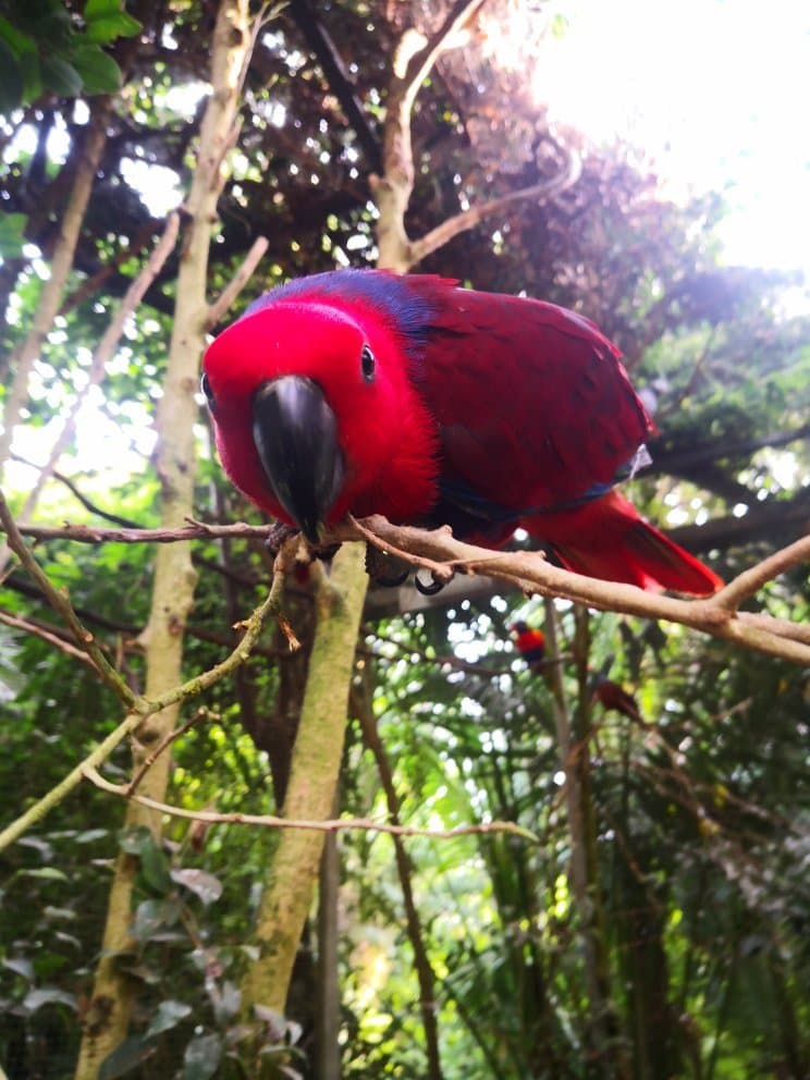 Butterfly Park Empuriabrava