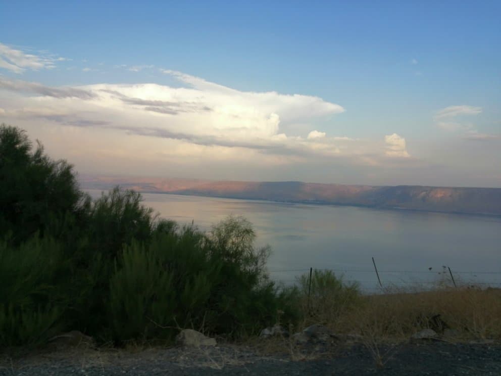 Swiss Forest Scenic Drive