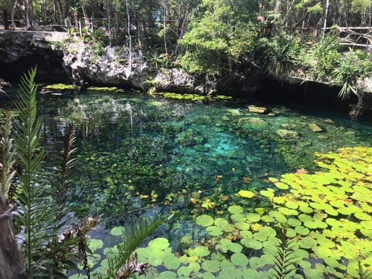 Cenote Nicte-Ha