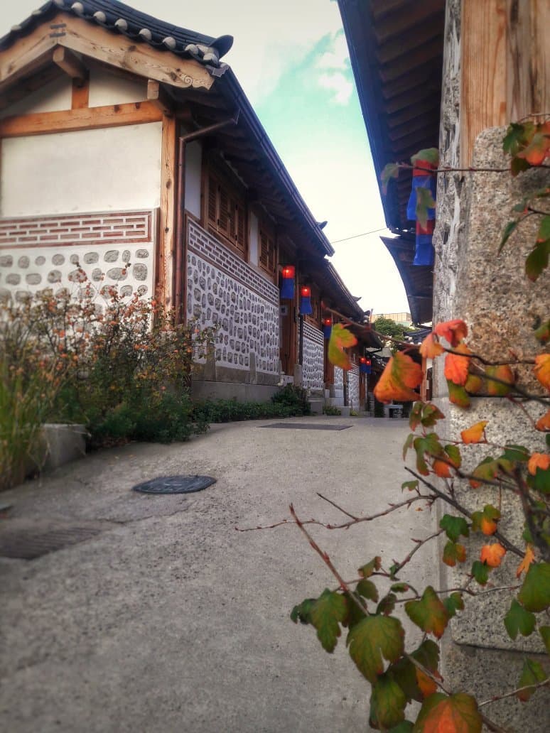 Experience the Unique Atmosphere of Donuimun Museum Village
