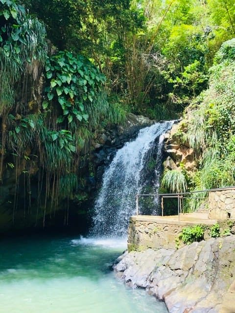 Annandale Falls Jamaica