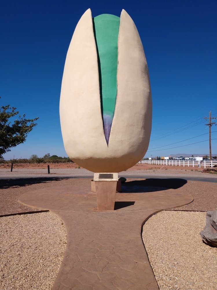 PistachioLand Giant Pistachio