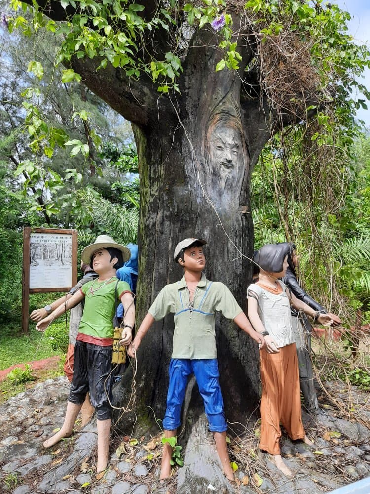 Tannirbavi Tree Park Mangalore
