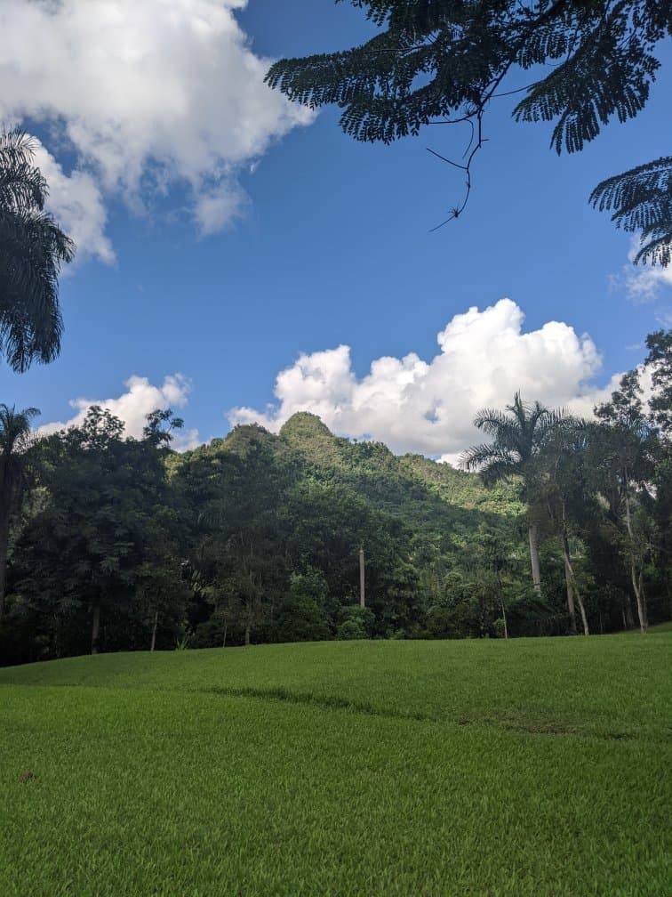 Caguana Indigenous Ceremonial Site Puerto Rico