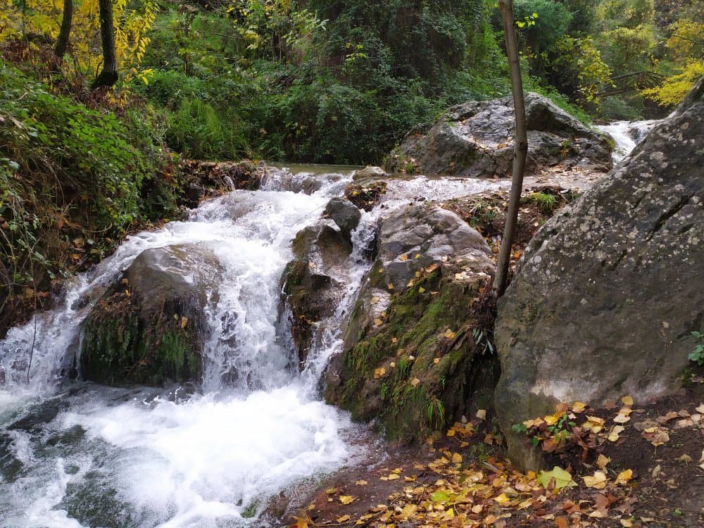 Sendero del Río Cerezuelo