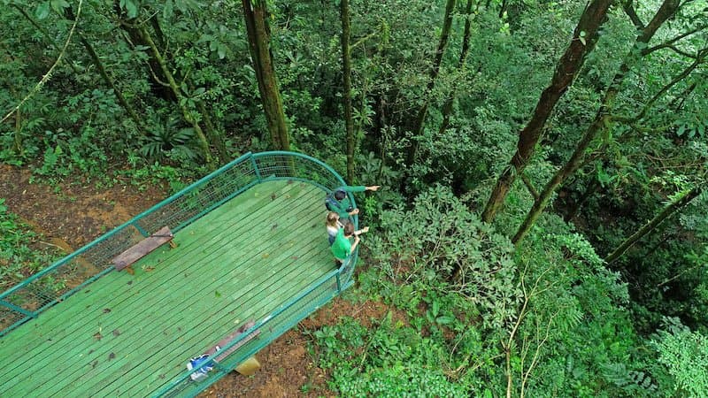 The forest viewing platform at Tapir Valley Nature Reserve. 