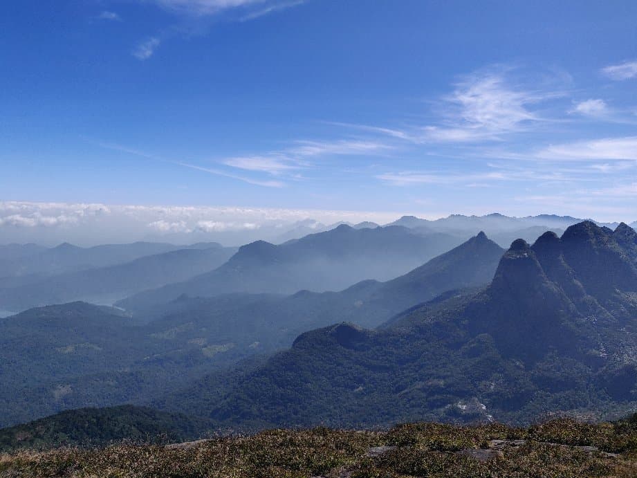 View from top of Agasthyarkoodam