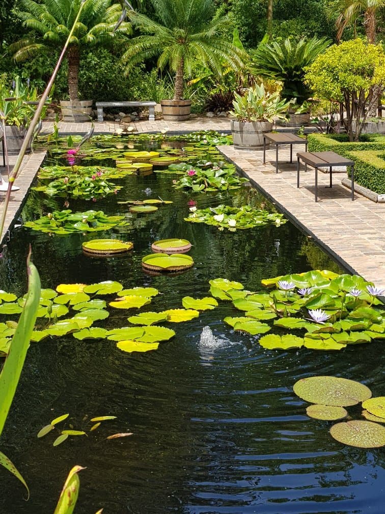 Stellenbosch University Botanical Garden