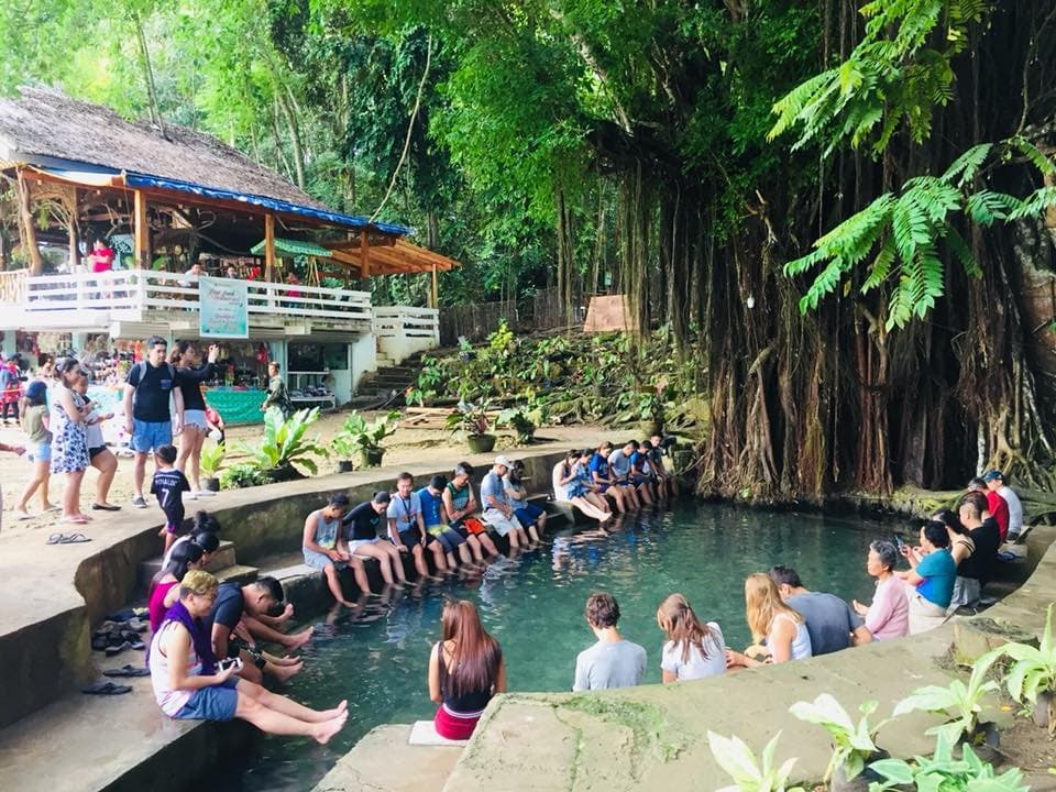 Oldest  Balete  Tree  in Siquijor Island  .  Known   to be the  most  oldest  balete  tree  in the  island  of  Siquijor    .   Located  at  Lazi  Siquijor  .  Book  your tour now  with  Charlie  Tour  Agency  .  For  inquiries andn  bookings you may  call  any  of  the  following number :  ☎️Telephone: (032) 384 8551 📞Cellphone: 0917 – 512 – 4437 or you may visit our website for more: 🌐www.cebucharlietour.com  #siquijortour  #siquijorisland  #baletetree