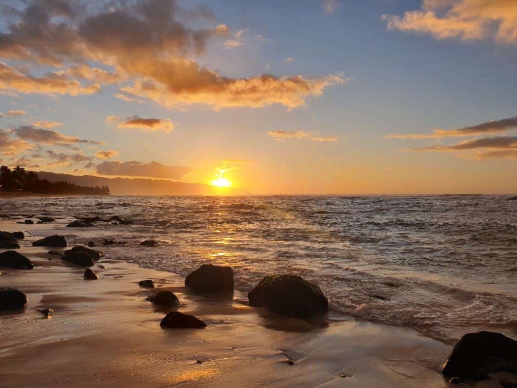 Laniakea Beach (Turtle Beach)