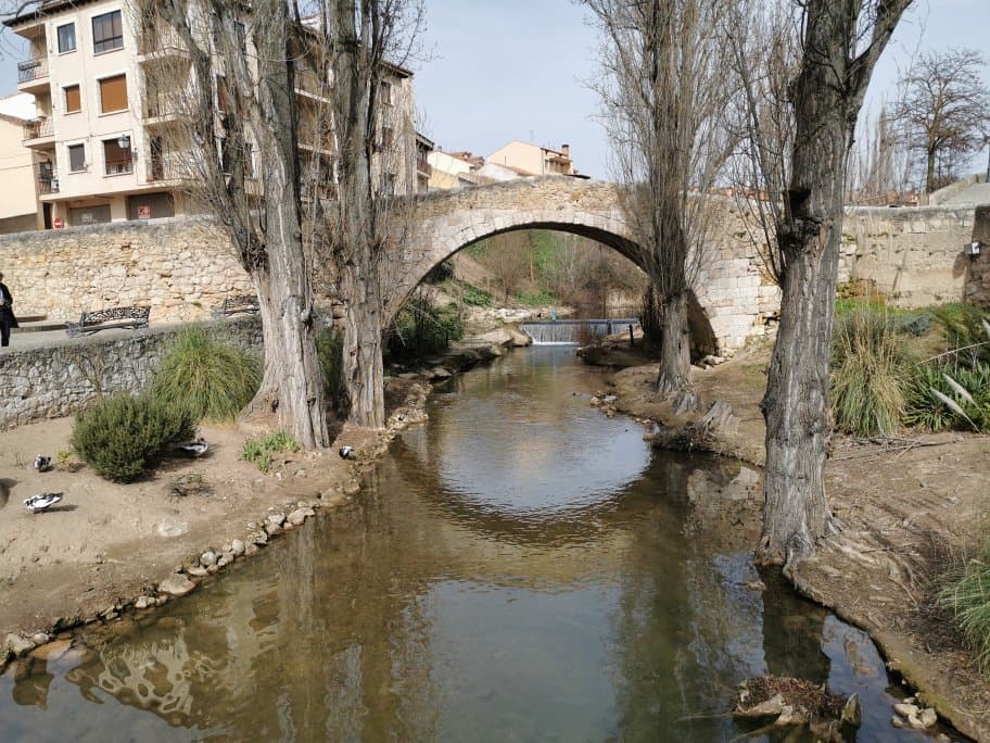 Medieval Bridge over the Duero River