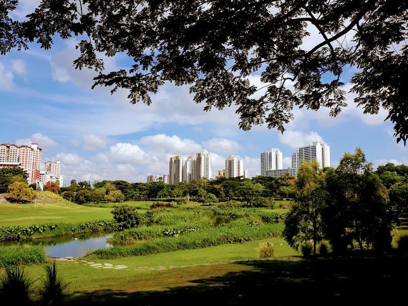 Beautiful greenery plains