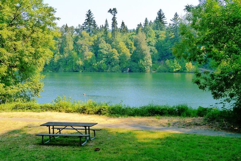 Willamette River flowing by Champoeg State Heritage Area
