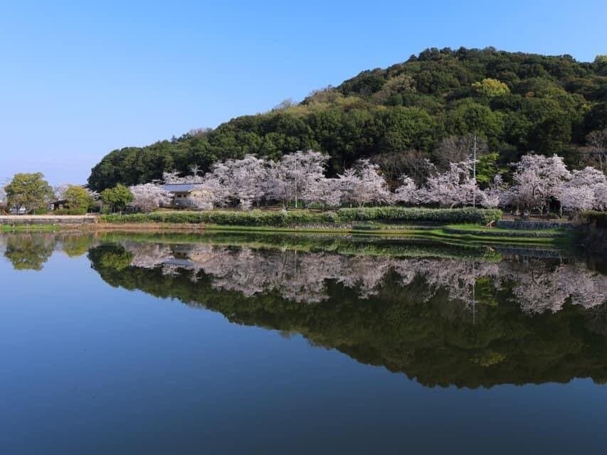 Mount Miminashi