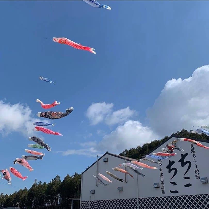 今年も鯉のぼりを飾る季節になりました。
鯉のぼりは、
日本の風習で、江戸時代に武家で始まった端午の節句に男児の健やかな成長を願って家庭の庭先に飾る「鯉」の形に模して作った「のぼり」で、「登竜門」の伝説にちなんで、「どんな環境にも耐え、立派に成長するように」と立身出世を願って鯉のぼりを飾るようになったそうです。

鯉のぼりの色は今では
黒がお父さん、赤がお母さん、青が子供というのが一般的ですが、
黒・・・大黒柱である父親
赤・・・生命を担う母親
青・・・成長していく子供を表しているそうです。
