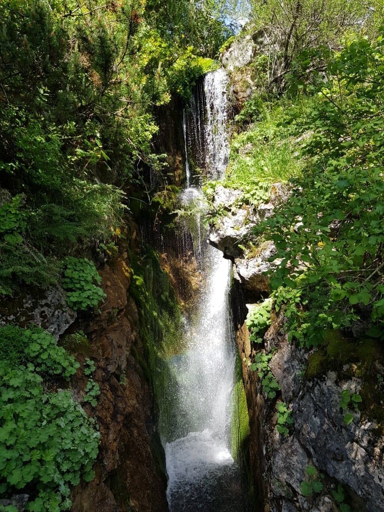 Jaÿsinia Alpine Botanical Garden