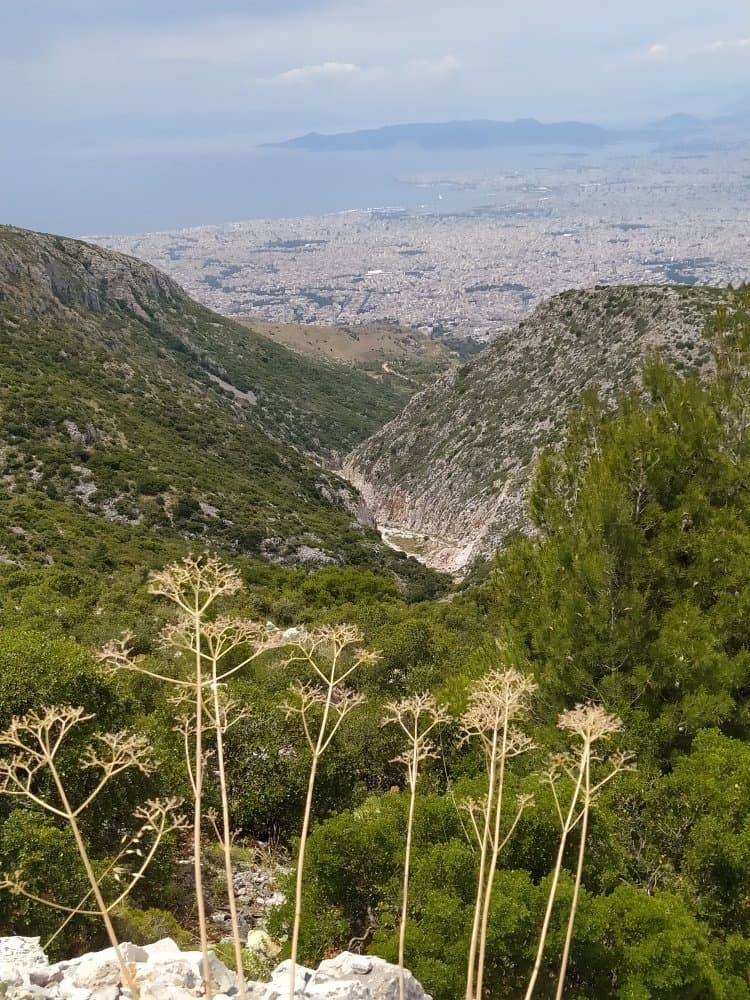 Mount Hymettus Trails Athens