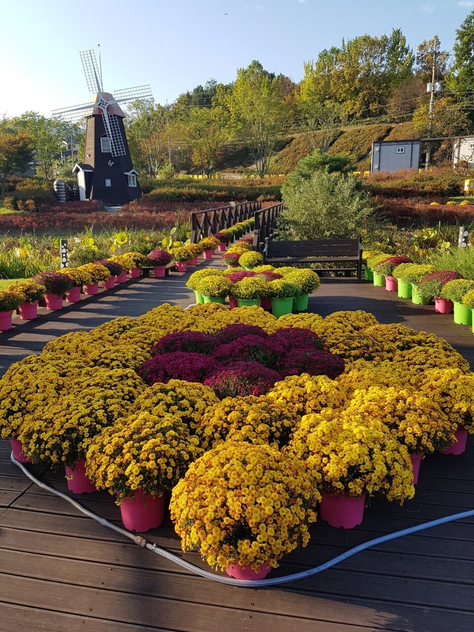 大淸湖自然生態館の大淸湖自然水辺公園 