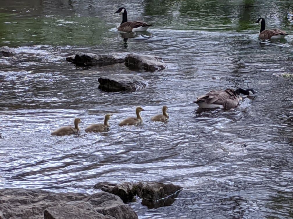 Letort Spring Run Nature Trail