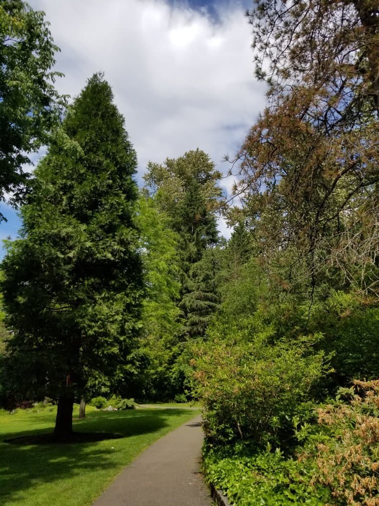 Bear Creek Park