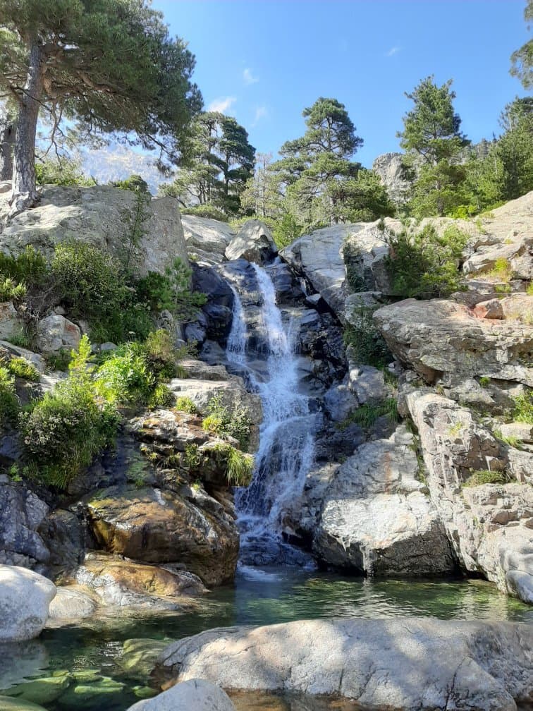 Forêt de Vizzavona & Cascade des Anglais Corsica