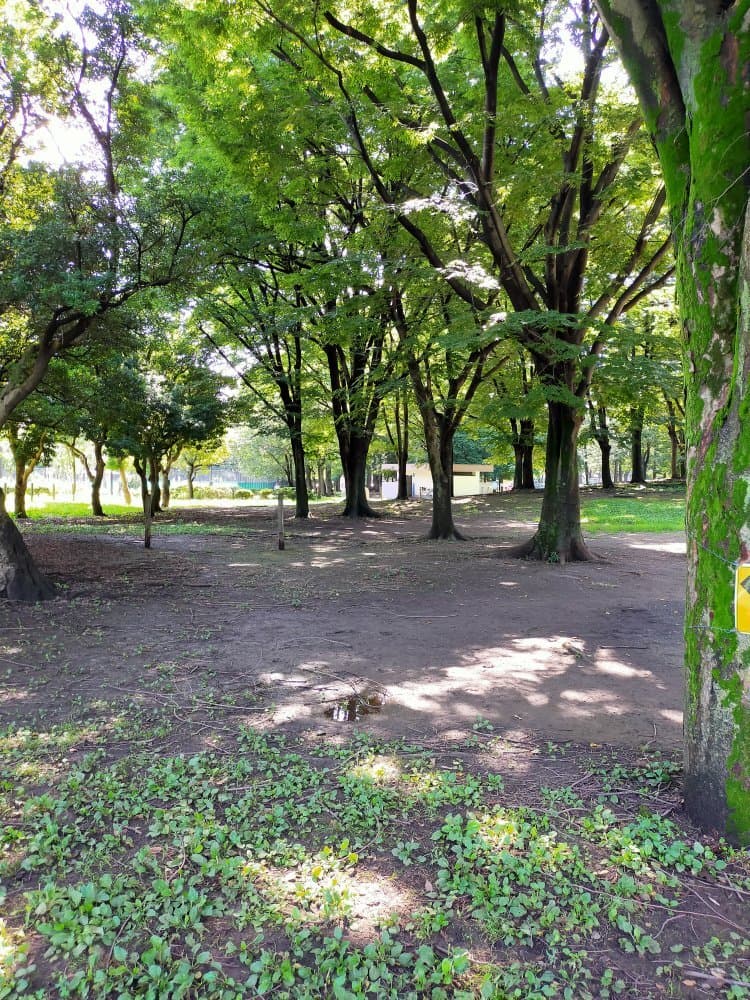 Akatsuka Park