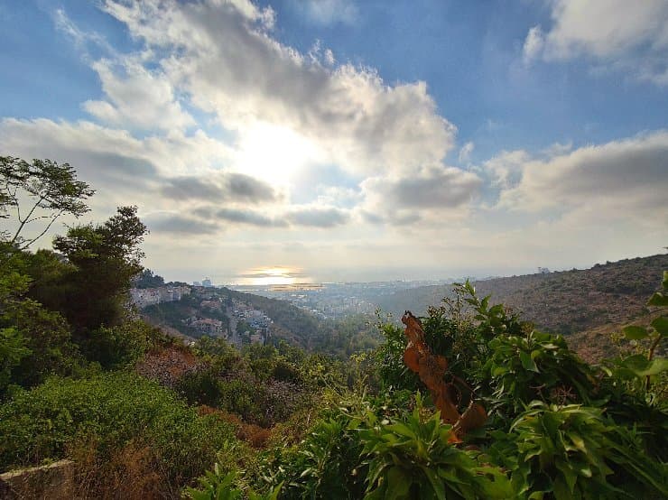 תצלום מצימר אחוזת ים, בשכונת דניה בכרמל