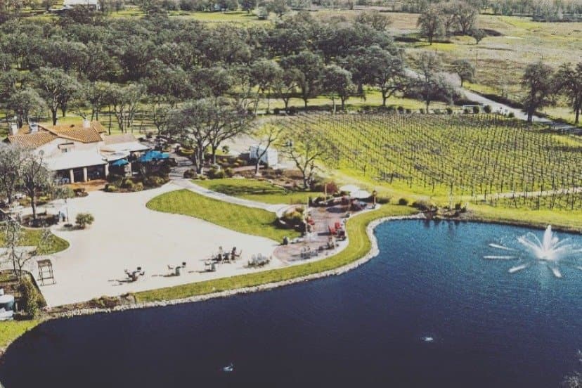 Rancho Roble Vineyards