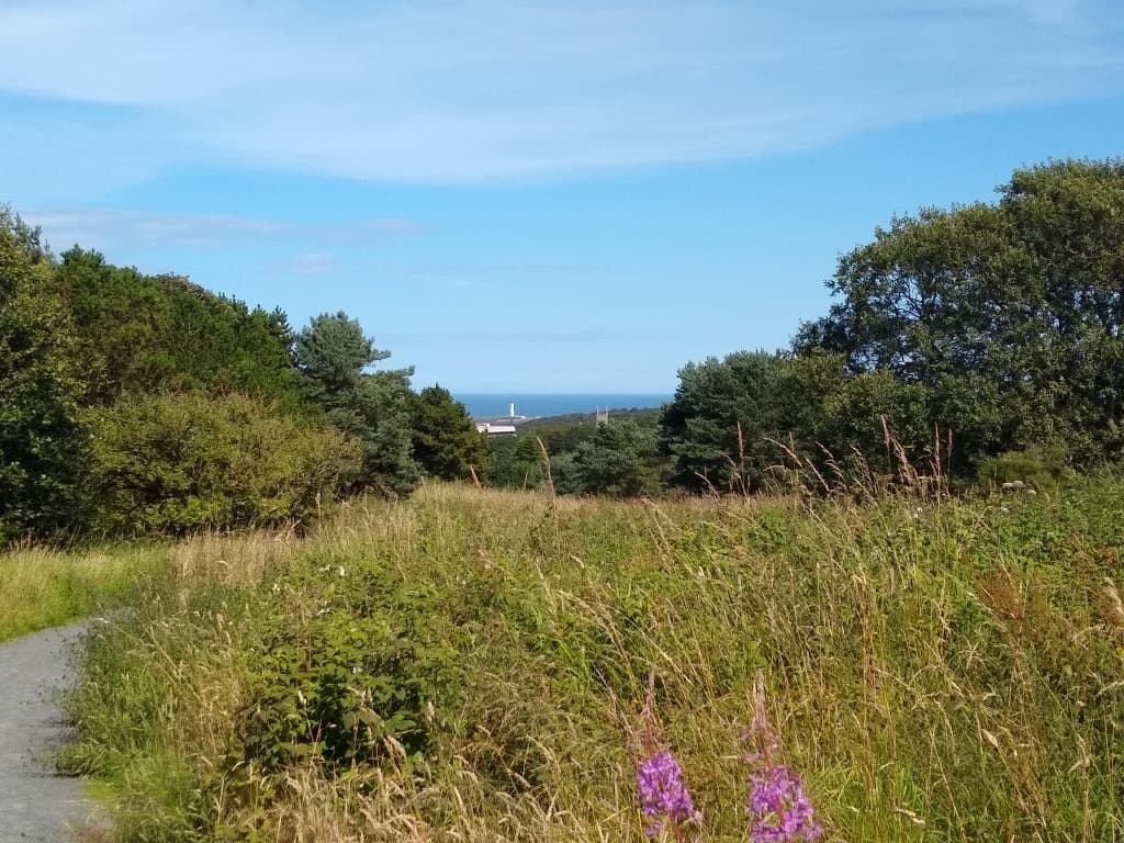 Kincorth Hill Local Nature Reserve