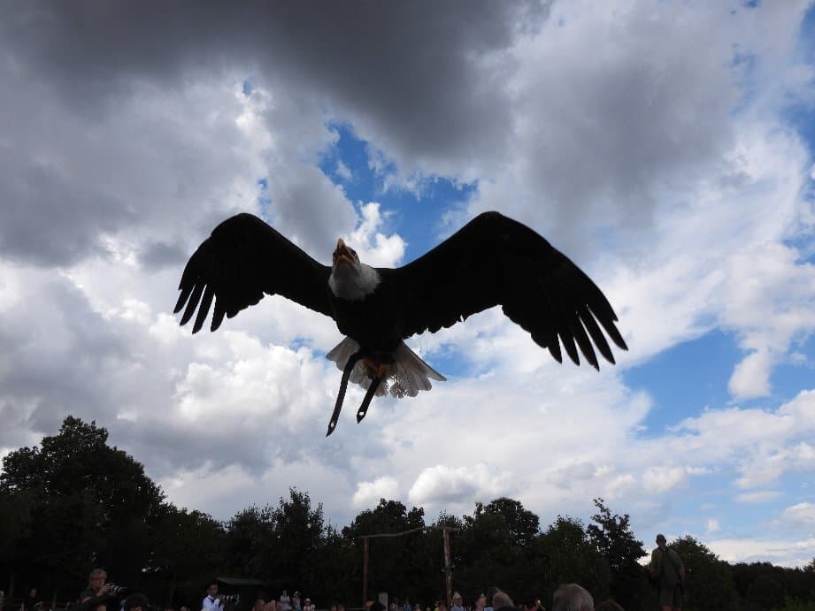 Potzberg Wildlife Park