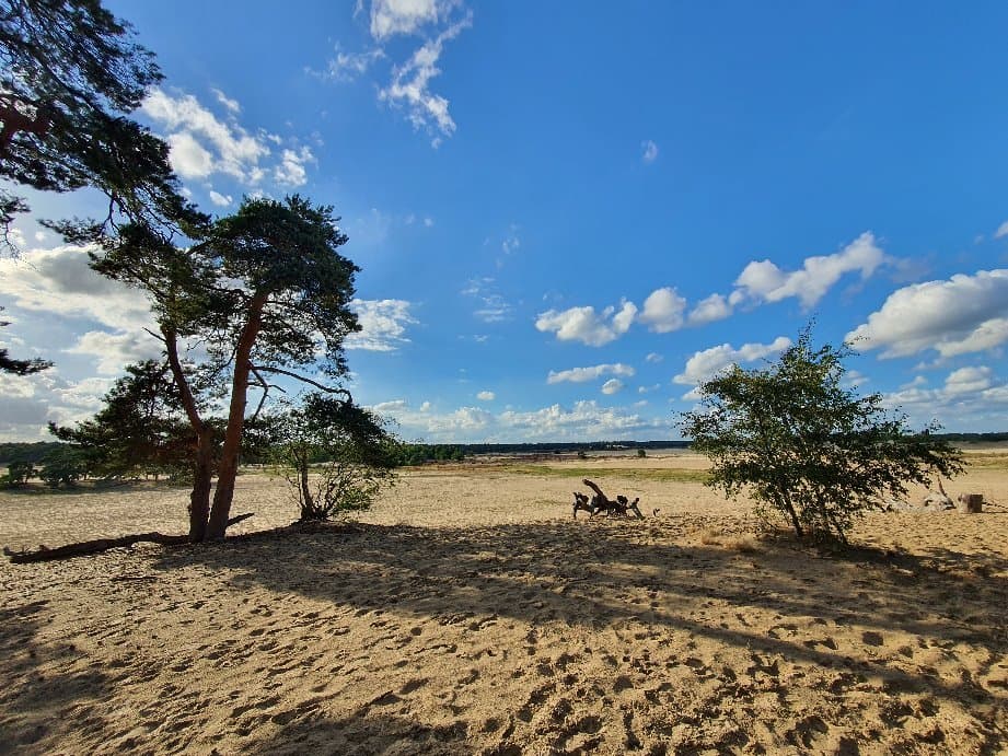 Loonse en Drunense Duinen National Park