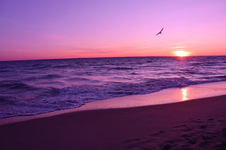 Hel Peninsula Seal Sanctuary