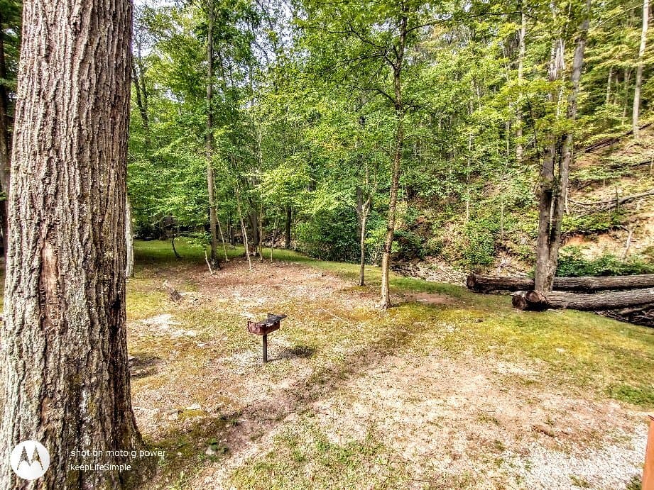 Laurel Summit State Park