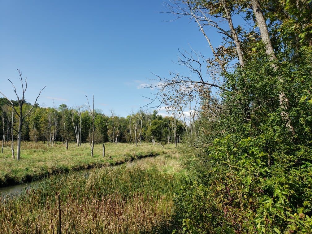 Mohawk-Hudson Bike-Hike Trail Albany