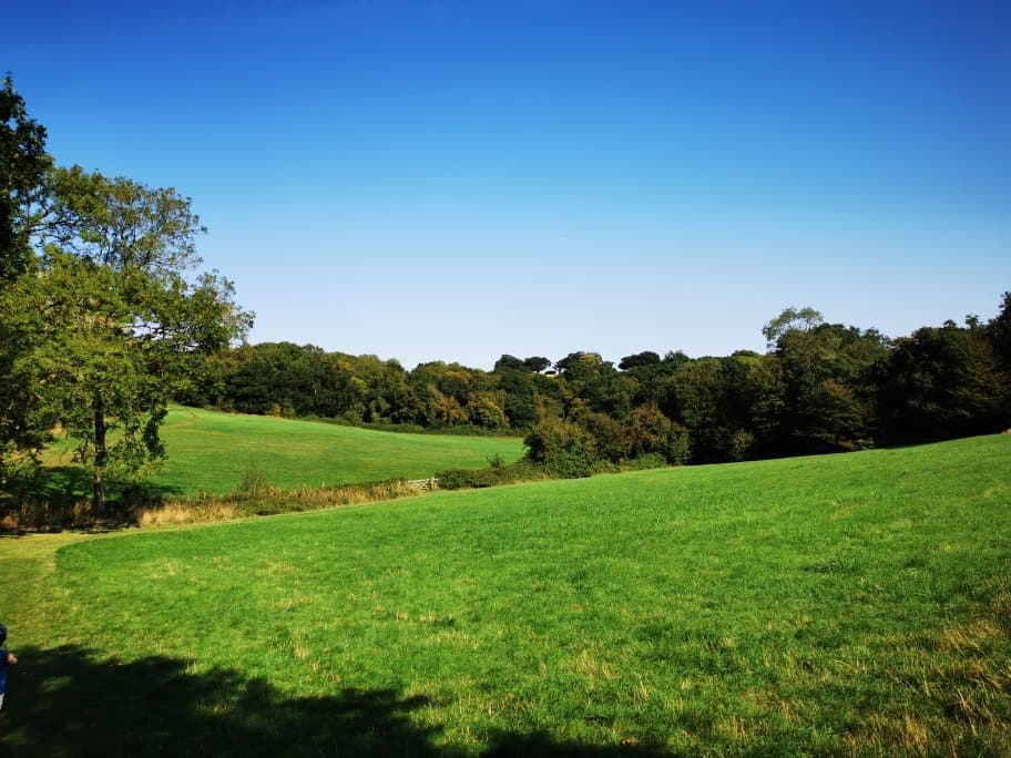 beautiful views, nice woodland walk of varying lengths based on what you'd like to do. Not a clear trail so not best for buggies etc.