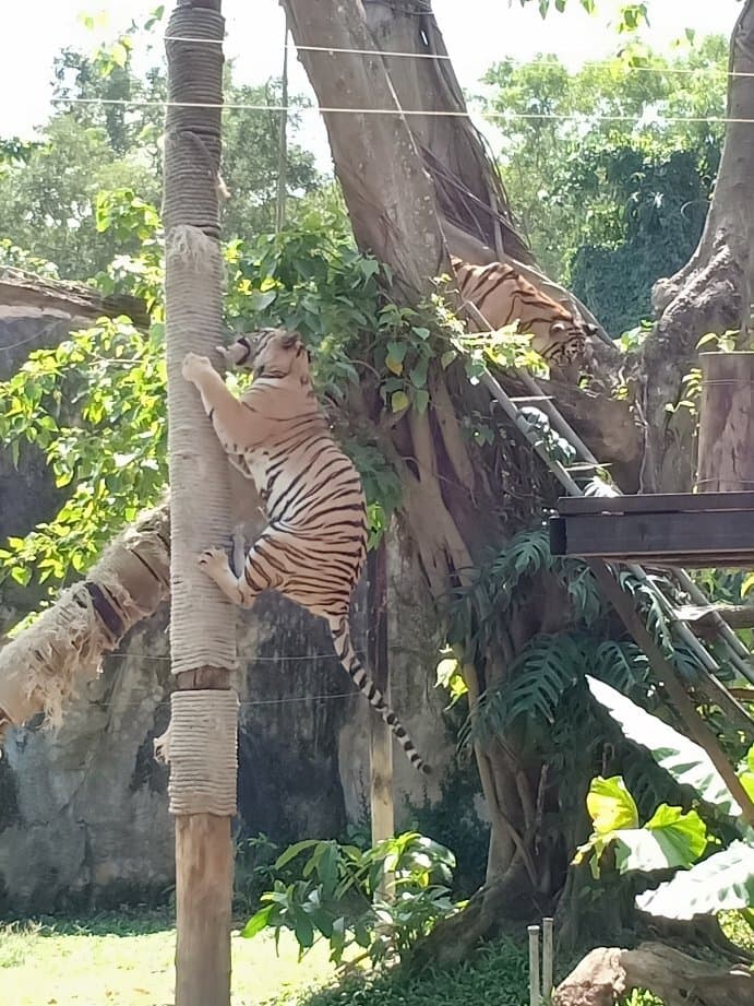 Songkhla Zoo