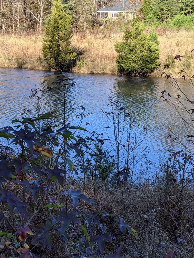 Farm pond