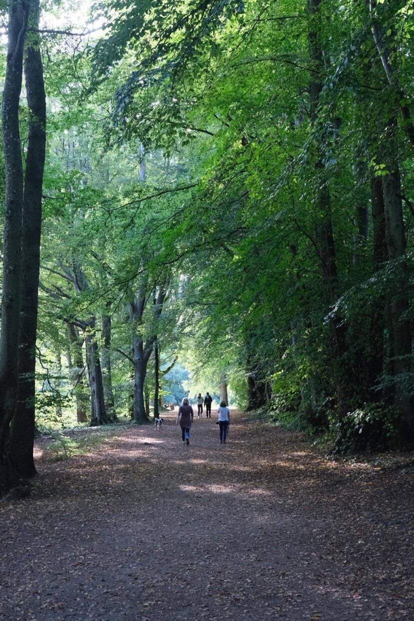 Lady Mary's Walk Crieff