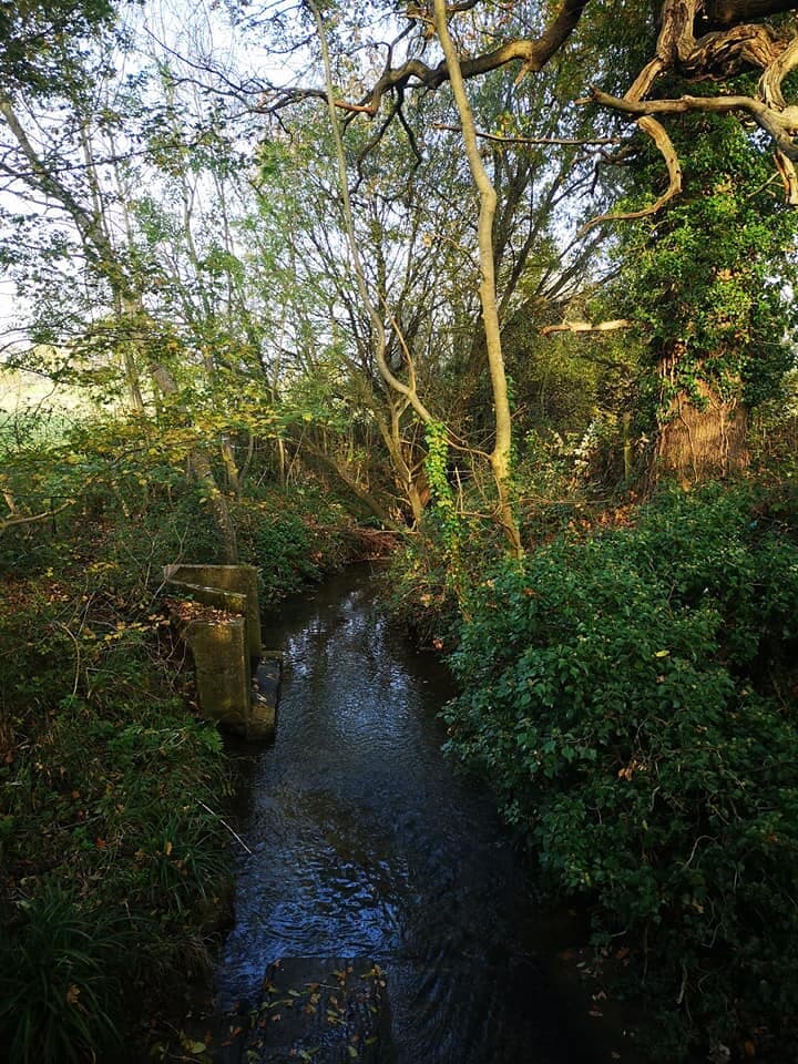 Beautful spot