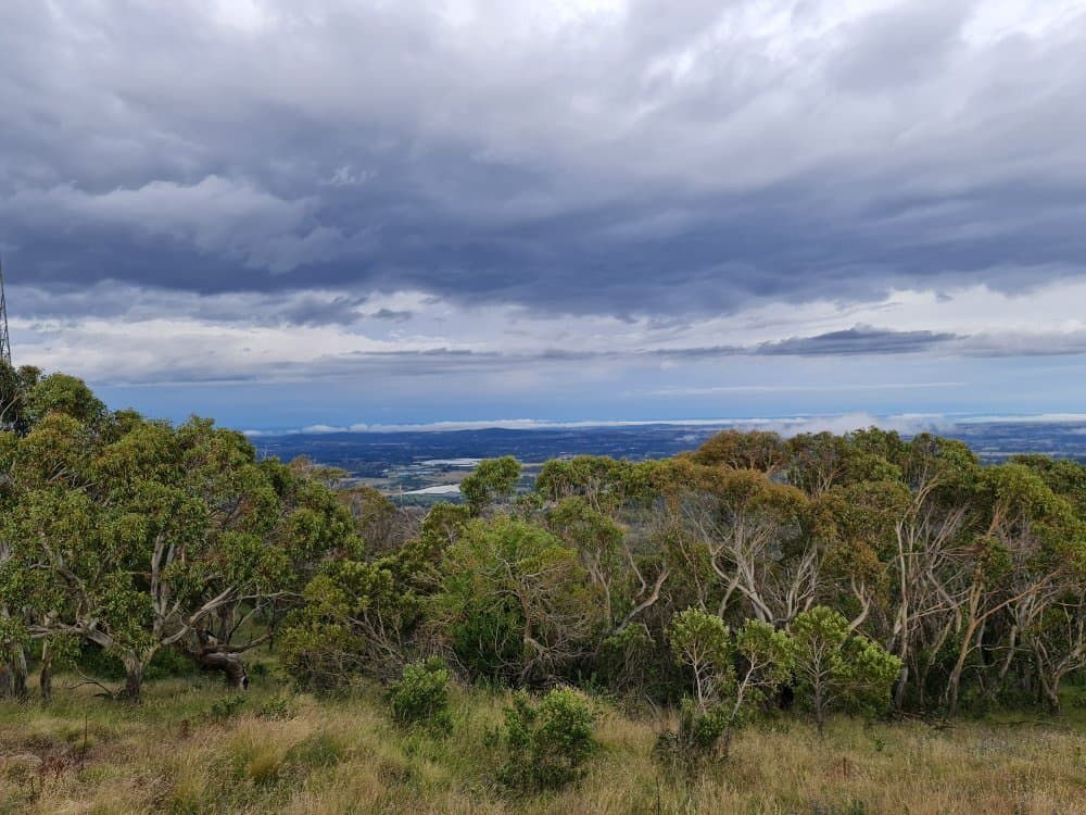 Mount Canobolas Summit