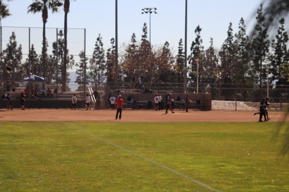 They played baseball