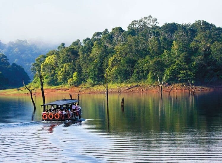 Periyar boating is one of the beautiful experiences in Kerala. You can select  <a href="https://gokeralatrip.com/kerala_family_tour"> Kerala family tour packages </a> and explore the beauty of Periyar. You can spot wild animals during the boating.