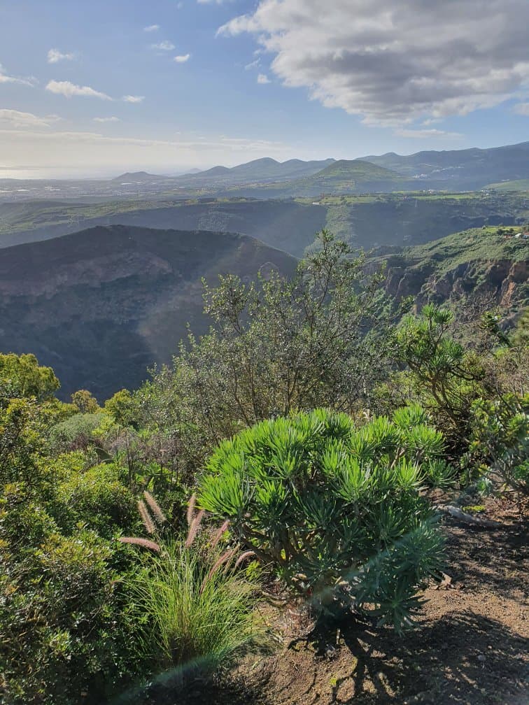 Caldera de Bandama