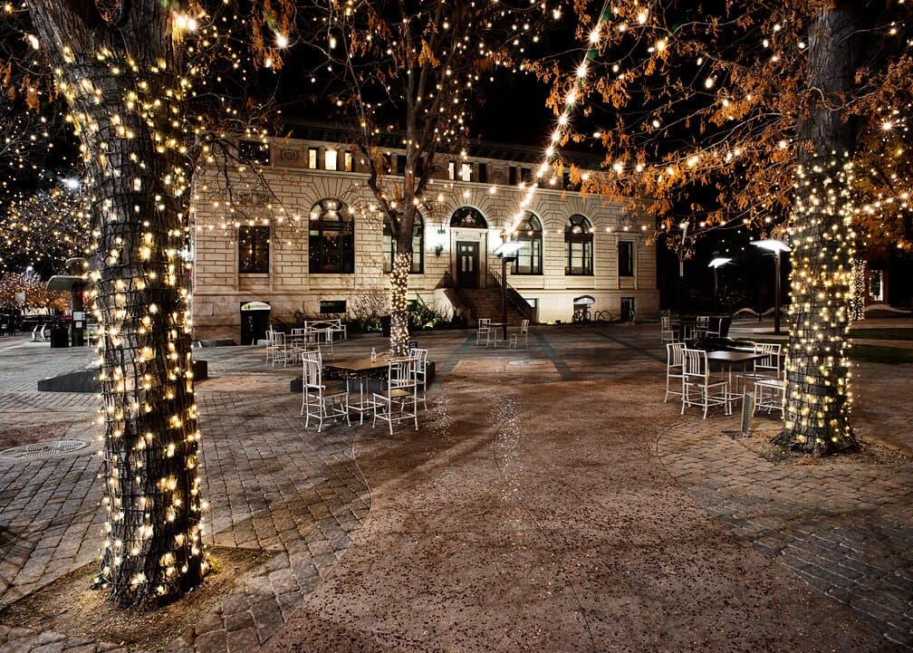 Holiday lights outside the Museum of Art Fort Collins
