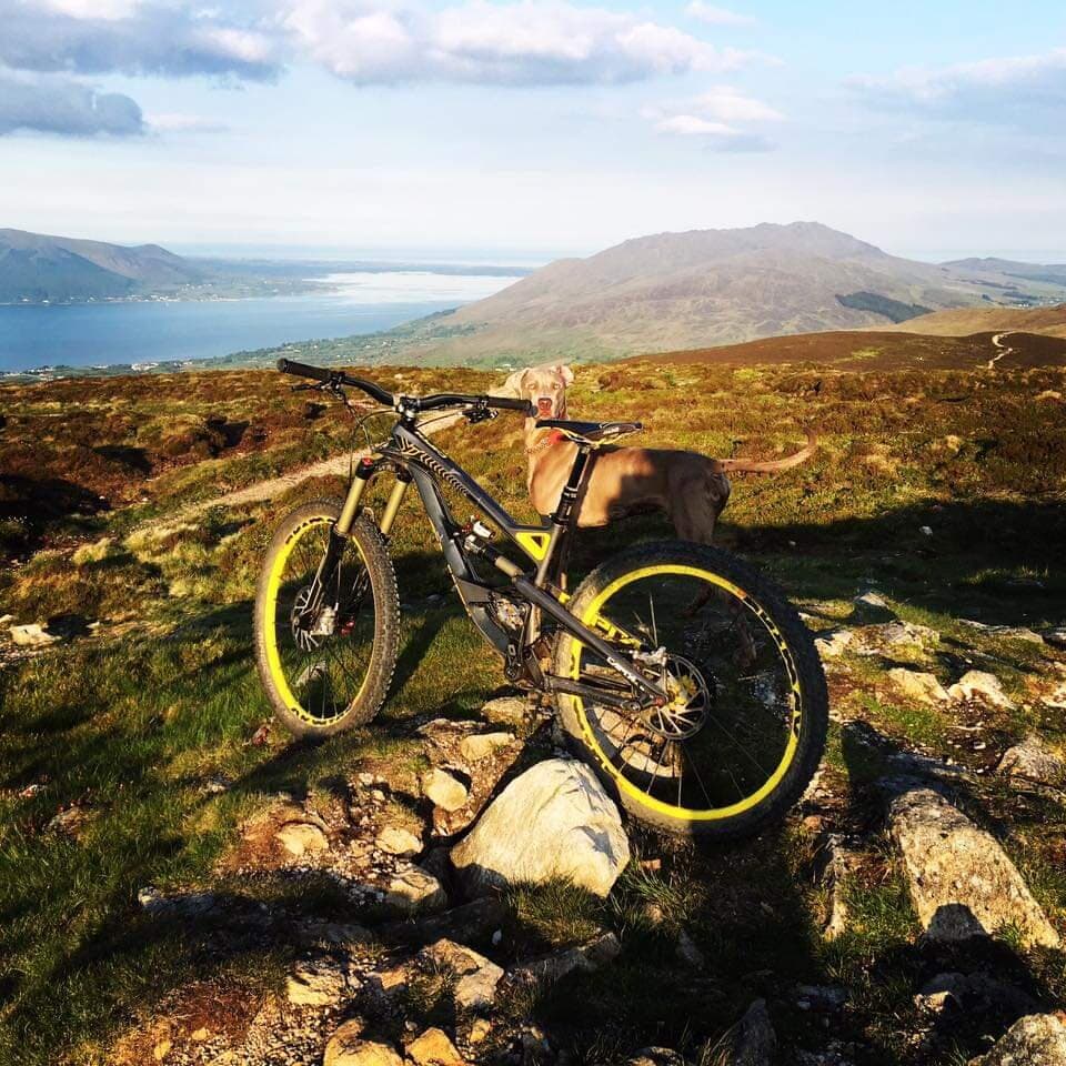 Summit with Einstein the Weimaraner before finding some flow