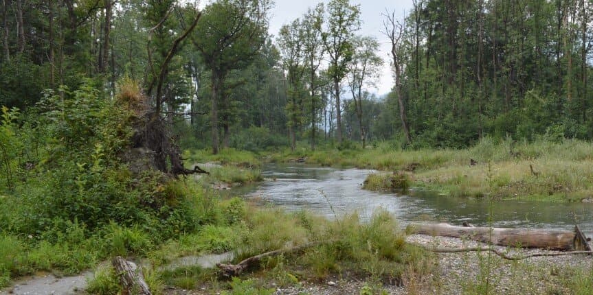 Werdenberger Binnenkanal (Buchs St.Gallen SG)