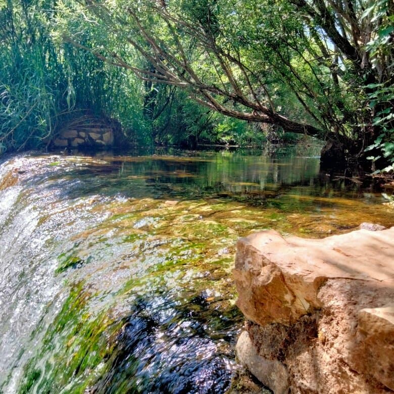 Fonte Benémola Portugal